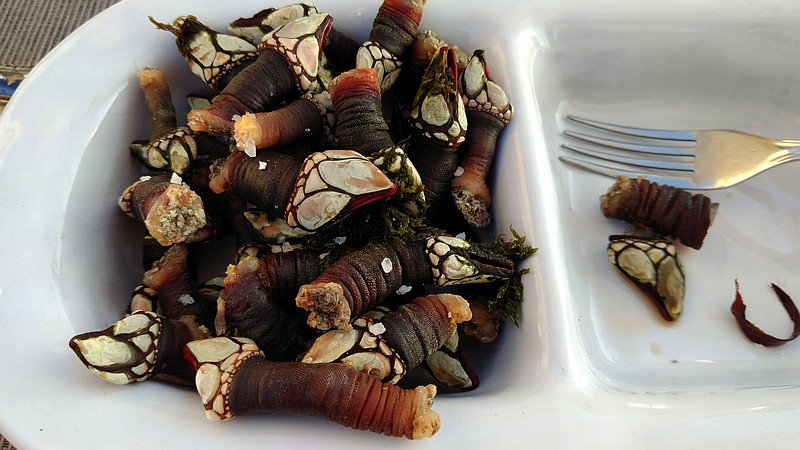 percebes.jpg